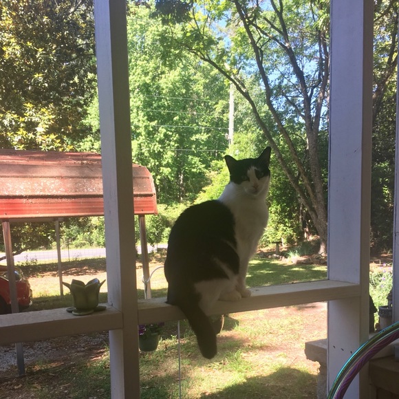 Meet your Posher, Michelle - Picture 9 of 9